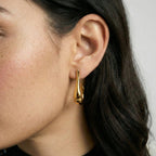 Boucles d'oreilles pendantes Cygne