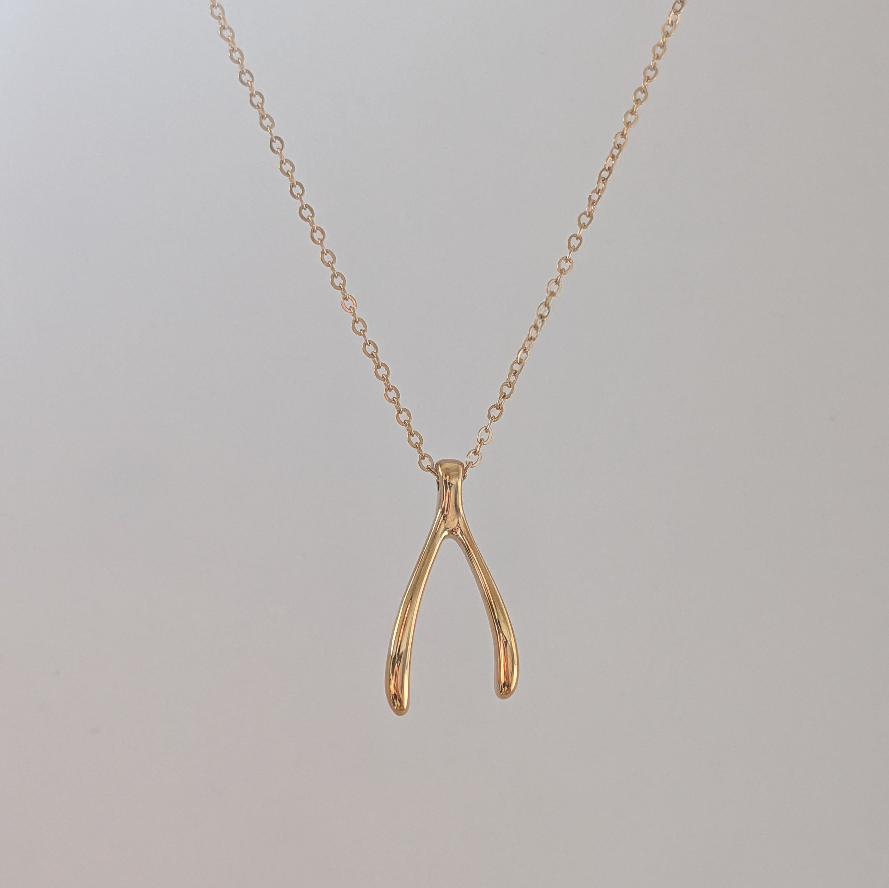 Trevi Wishbone Necklace