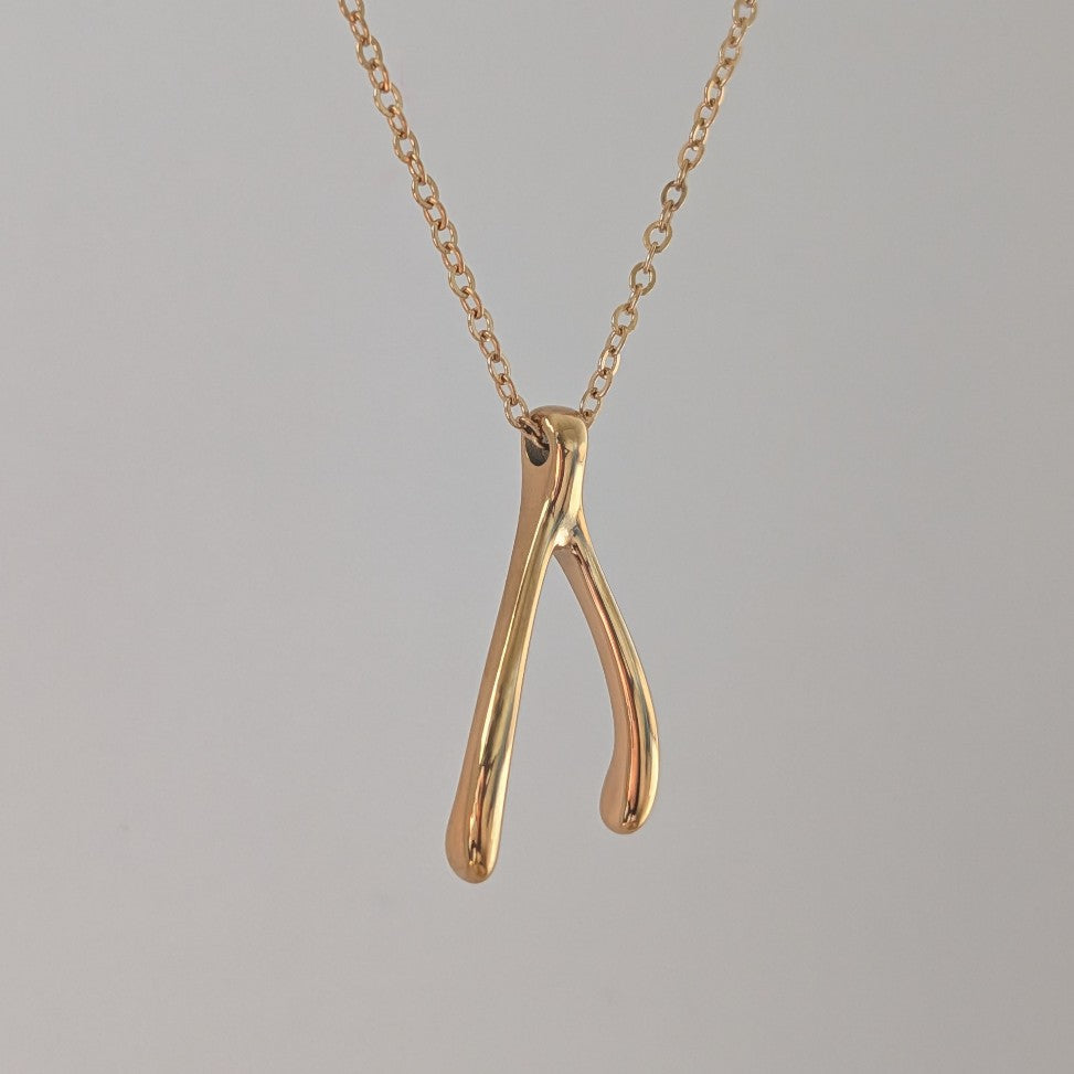 Trevi Wishbone Necklace