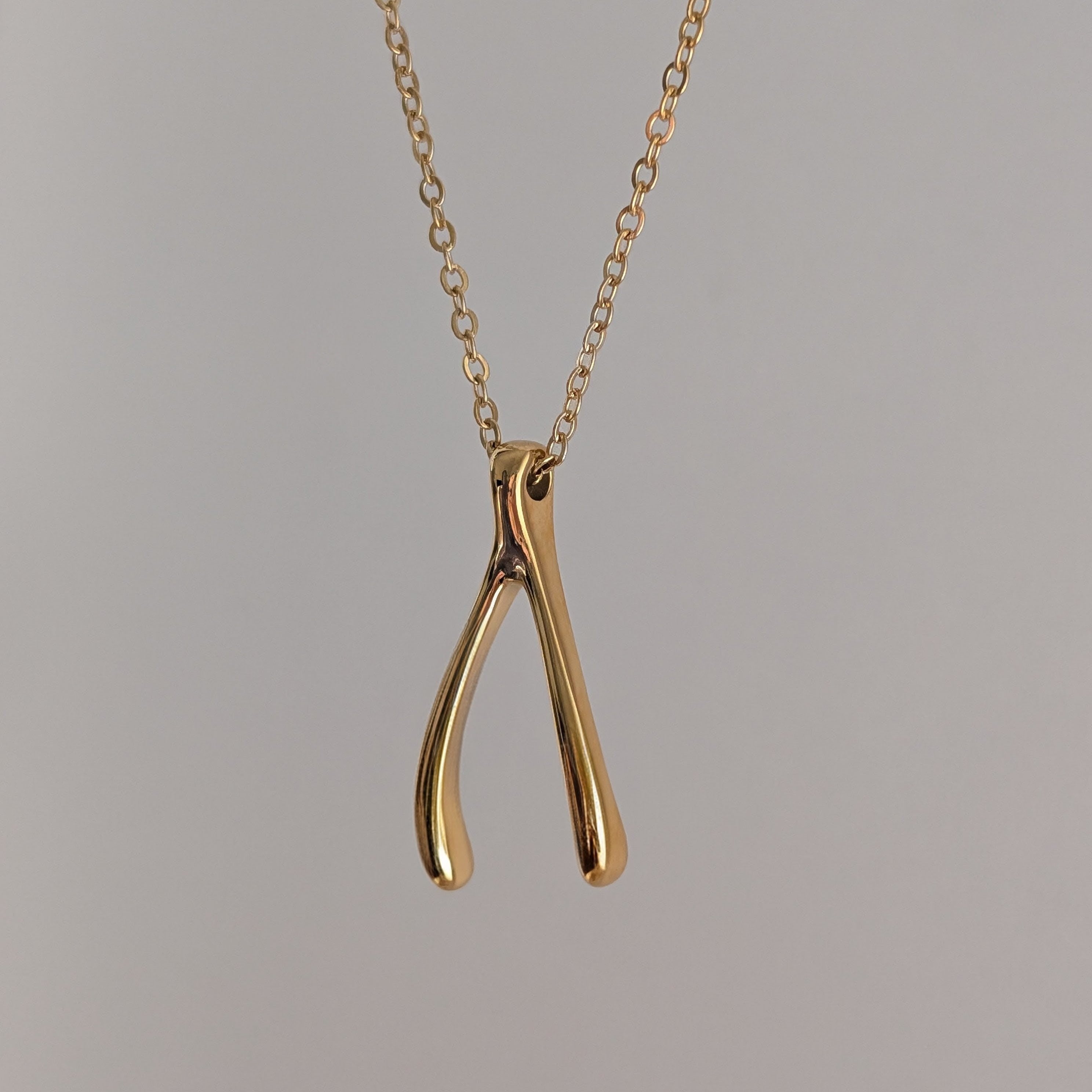Trevi Wishbone Necklace